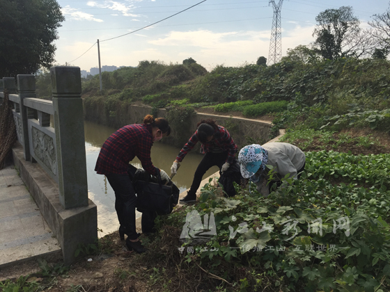 环卫处开展鹿溪渠绿化带卫生专项整治活动
